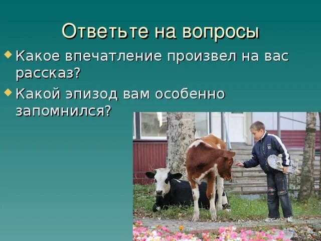 Платонов корова текст полностью. Платонов а. "корова". Произведение корова Платонова. Рассказ корова произведение Платонова. Платонов корова 5 класс.