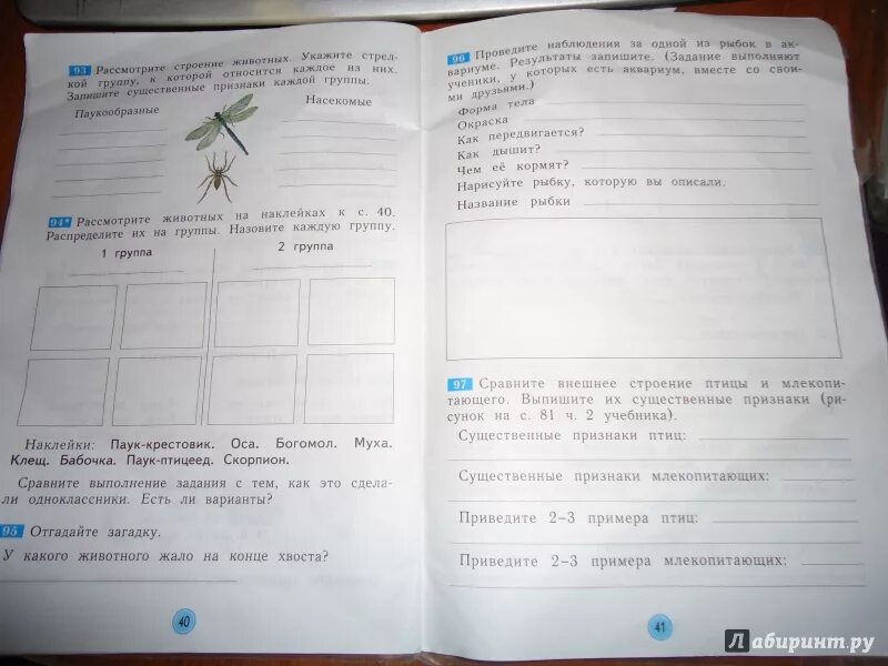 Кубановедение первый класс рабочая тетрадь. Кубановедению 1 класс рабочая тетрадь. кубановедение 2 класс рабочая тетрадь стр 3. окружающий мир. рабочая тетрадь. 1 класс. часть 2. кубановедение 1 класс рабочая тетрадь.