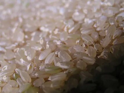 World's rice