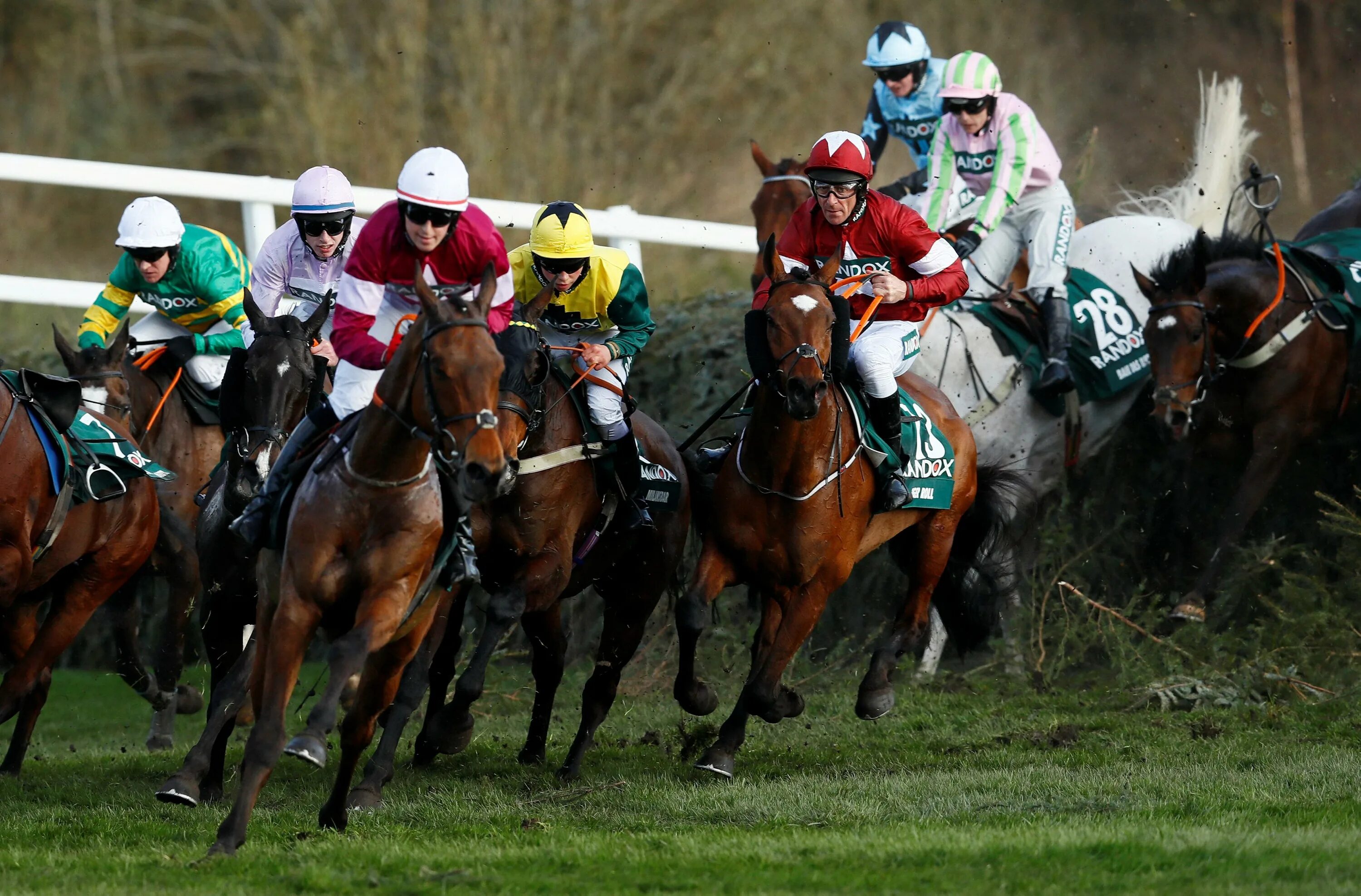 Home of horse racings grand national. Home of horse racings grand national. Home of horse racings grand national. Home of horse racings grand national. Лошадь на скачках.