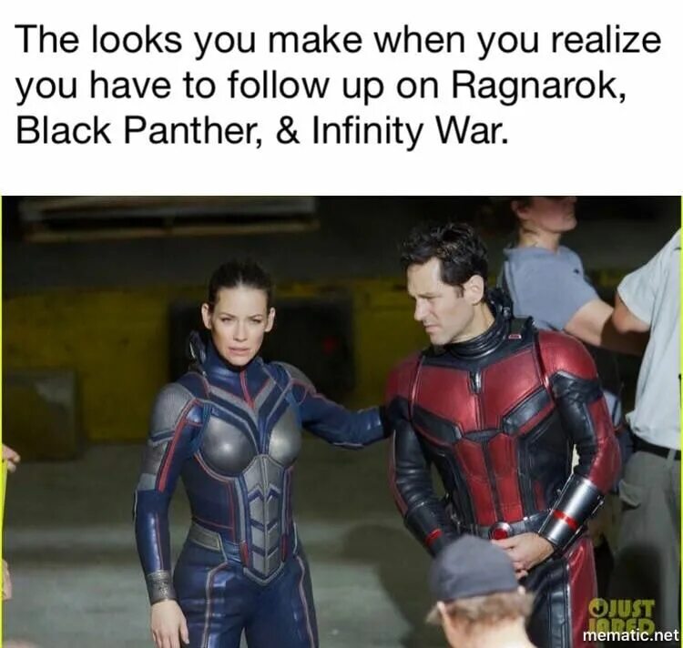 The wasp 2025