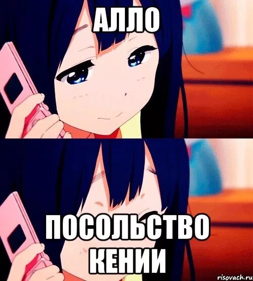Пингвин в очках с телефоном. День без грязной посуды. Мем прит скрин. Люто пингвин. Алло это посольство посолите.