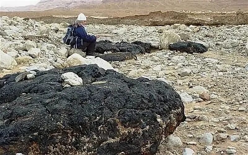 Асфальтовое море. Битум в мёртвом море. Асфальтовое море. Асфальтовое озеро пич-лейк, тринидад. Асфальтовое море.
