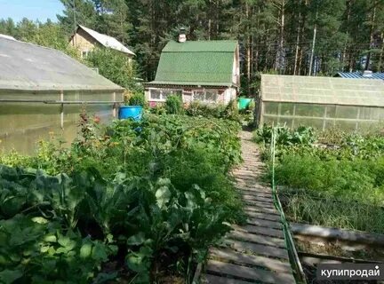 Участки в коллективном саду