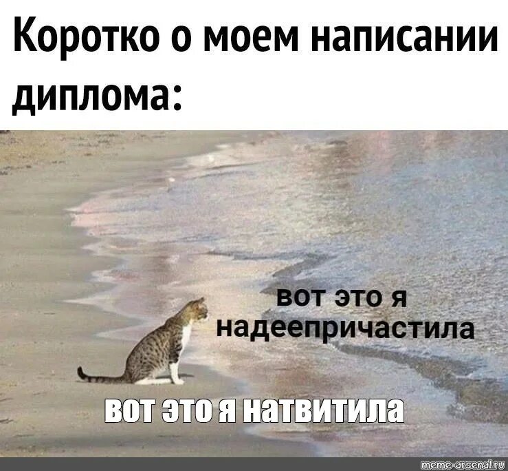Вот это я рыгнула. Вот это я надеепричастила мем с котом. надеепричастила мем. вот это я нассал кот у моря. а вот и я мем.