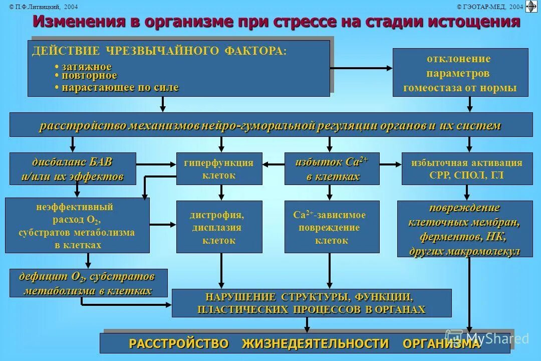 механизм изменения температуры тела при лихорадке. механизмы изменений в организме. механизмы изменений в организме. схема возникновения стресса. адаптация к физическим нагрузкам.