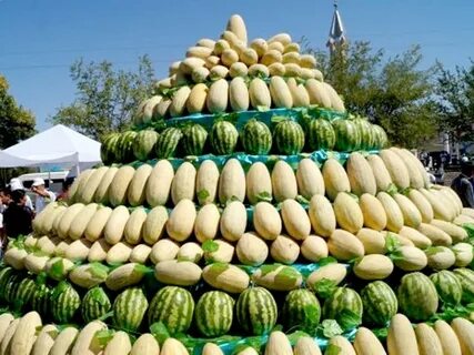 Город дыня