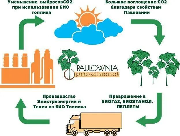Регион перспективного использования биотоплива. Производство биотоплива схема. схема производства биоэтанола. биотопливо источник энергии. биодизель схема.