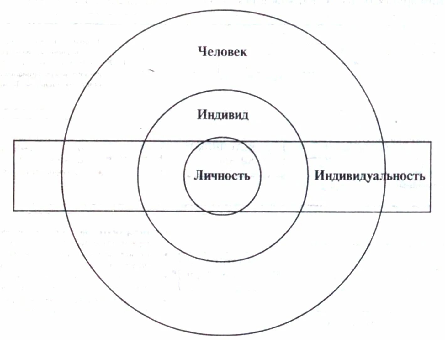 Соотношение человека индивида личности индивидуальности. Круги эйлера личность человек индивид индивидуальность. индивид индивидуальность личность схема. схема человек индивид личность. соотношение понятий человек индивид личность индивидуальность.