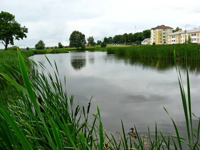 Озеро свитязь гродненская область. Новогрудок озеро. Новогрудок озеро. Свитязь озеро белоруссия. Новогрудок озеро.
