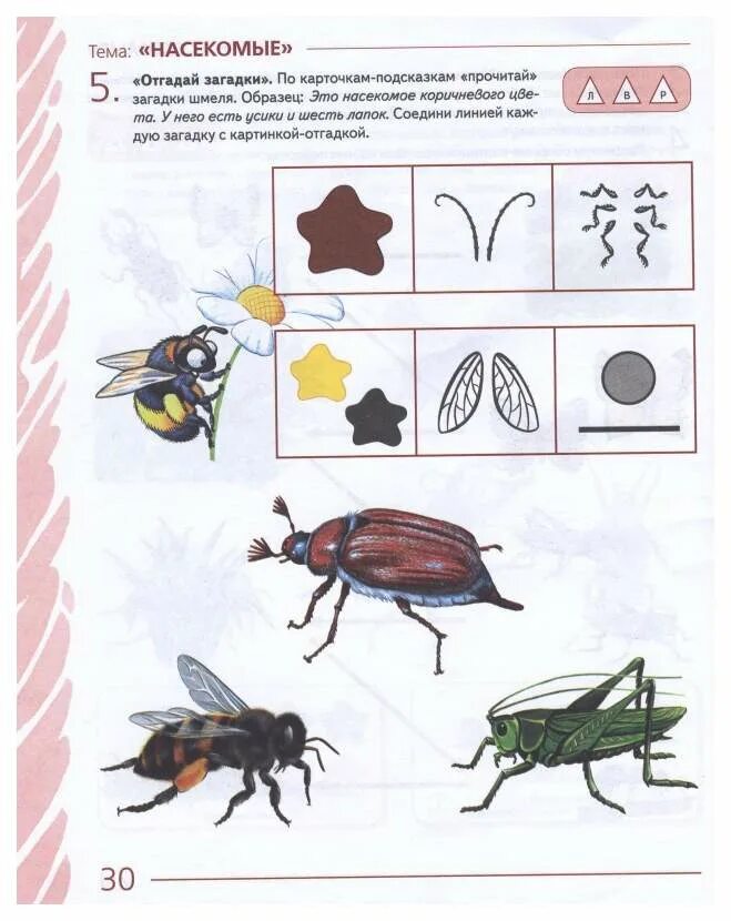 Занятие по лексической теме насекомые в подготовительной группе. Лексическая тема насекомые в старшей. Насекомые задания для детей. Тема насекомые в подготовительной логопедической группе. Лексическая тема насекомые