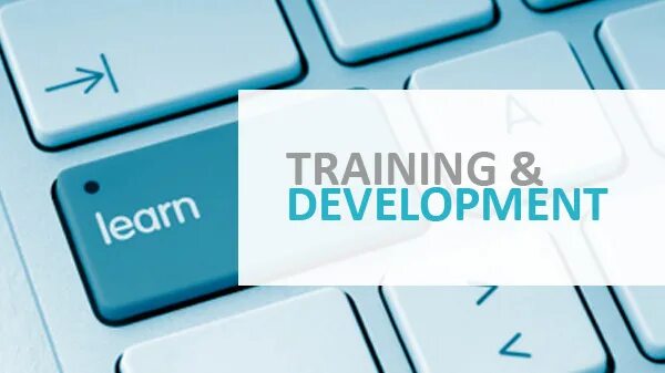 Training and Development. Training, Learning, Development. Training надпись. Training development