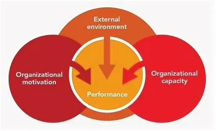 Organization performance. Organization performance