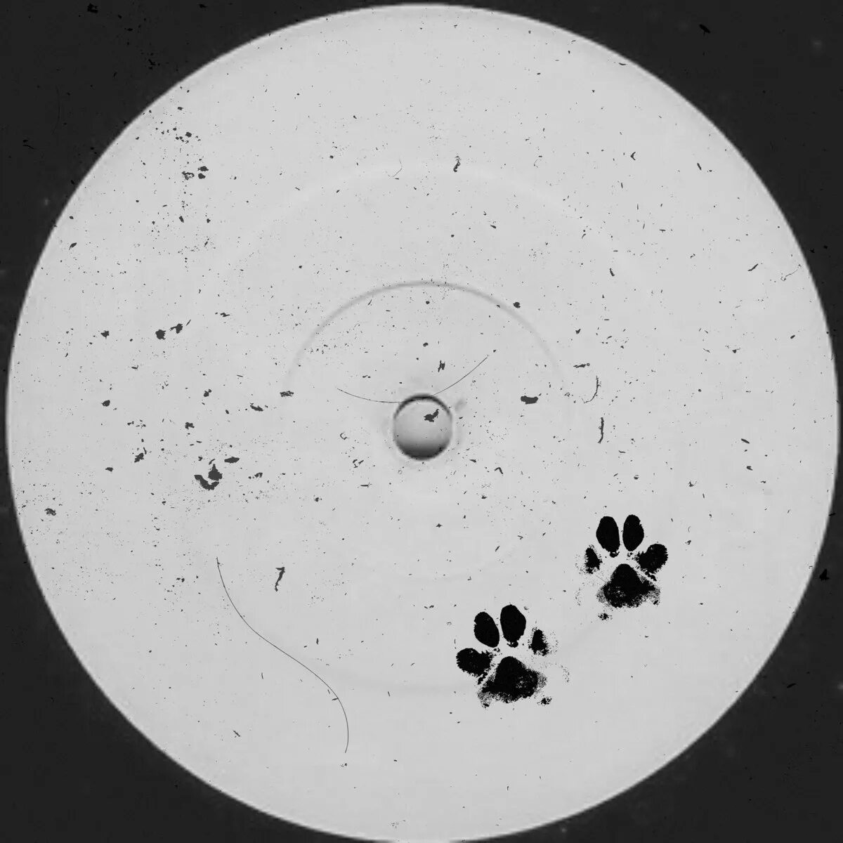 Who let the dogs out baha men. About that, Evalina - who Let the Dogs out. Who Let the Dogs out саундтрек. Baha men who Let the Dogs out Single Cover. About that & Evalina - who Let the Dogs out (Eugene Star Remix картинка.