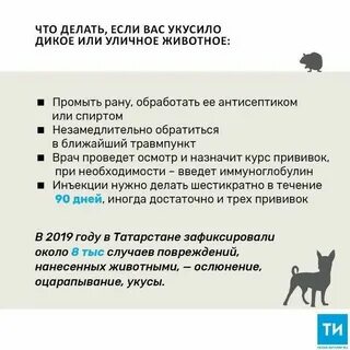 Столбняк после укуса собаки