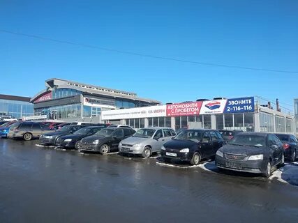 Регинас профи