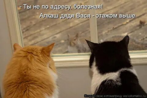 Ну что с тобою происходит зачем ты