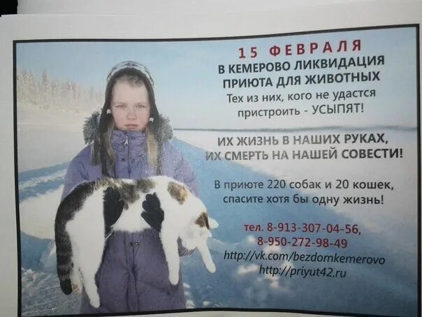 Защита бездомных животных. Лого зоозащиты. Первоуральское общество защиты животных. Общество защиты животных кемерово. Общество защиты животных кемерово.