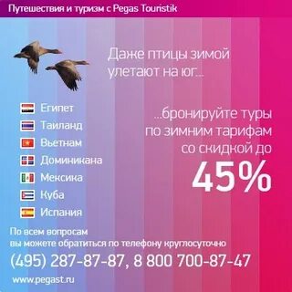 Турагентство чайка
