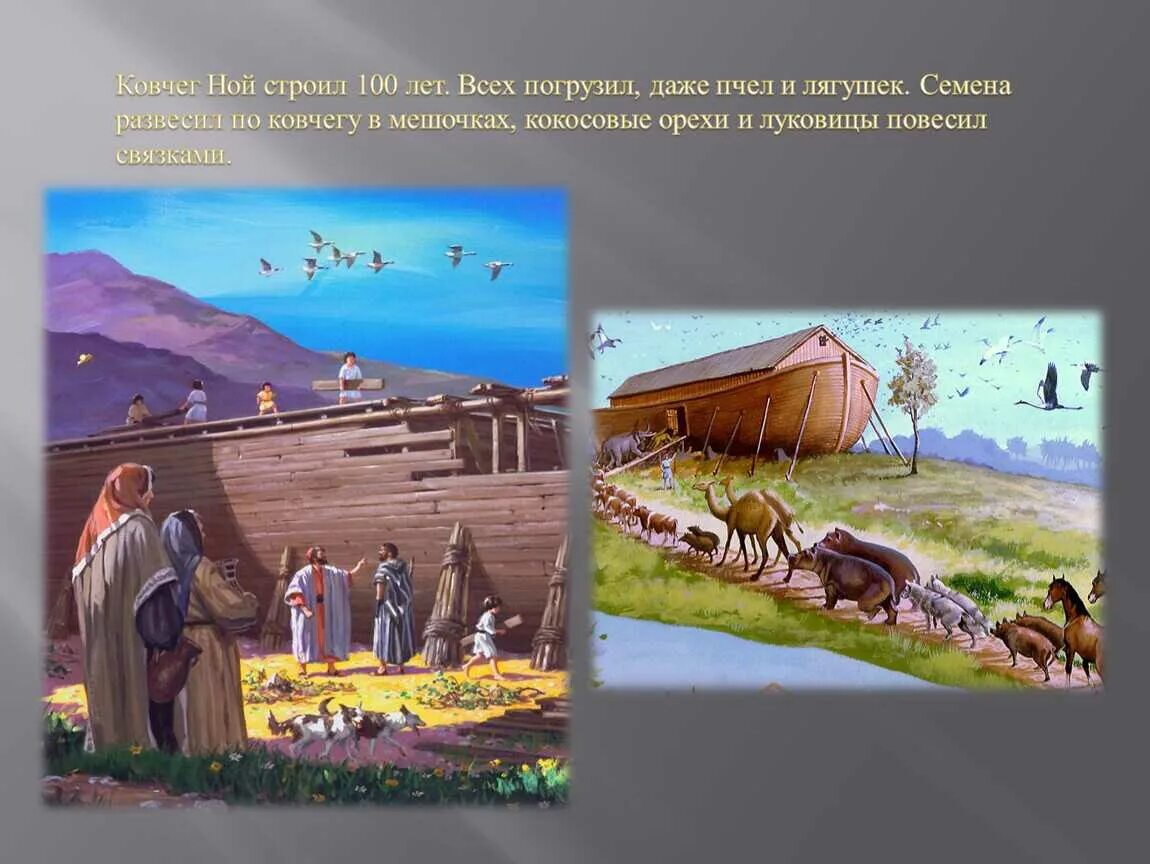 Библейские сказания ноев ковчег. Ноев ковчег презентация. Сколько лет строили ноев ковчег. Теория всемирного потопа. Сколь ной строит ковчег.
