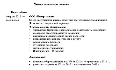 Пример резюме руководителя проекта