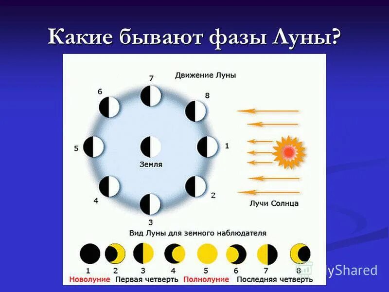 течение месяца должен быть. течения образуют круговые движения. течение месяца должен быть. амплитуда температур. задачи на проценты в магазине.