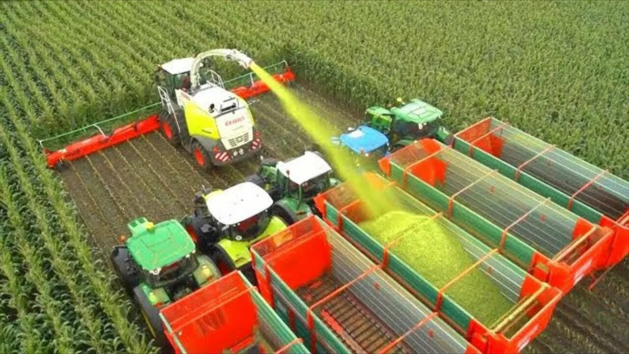 Modern farming methods allow