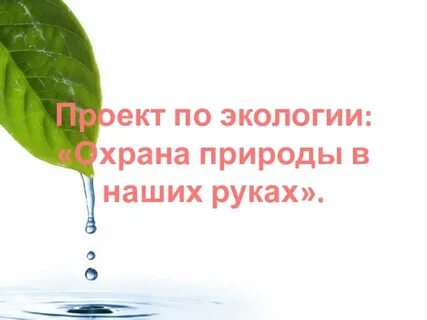 Проект охрана окружающей среды