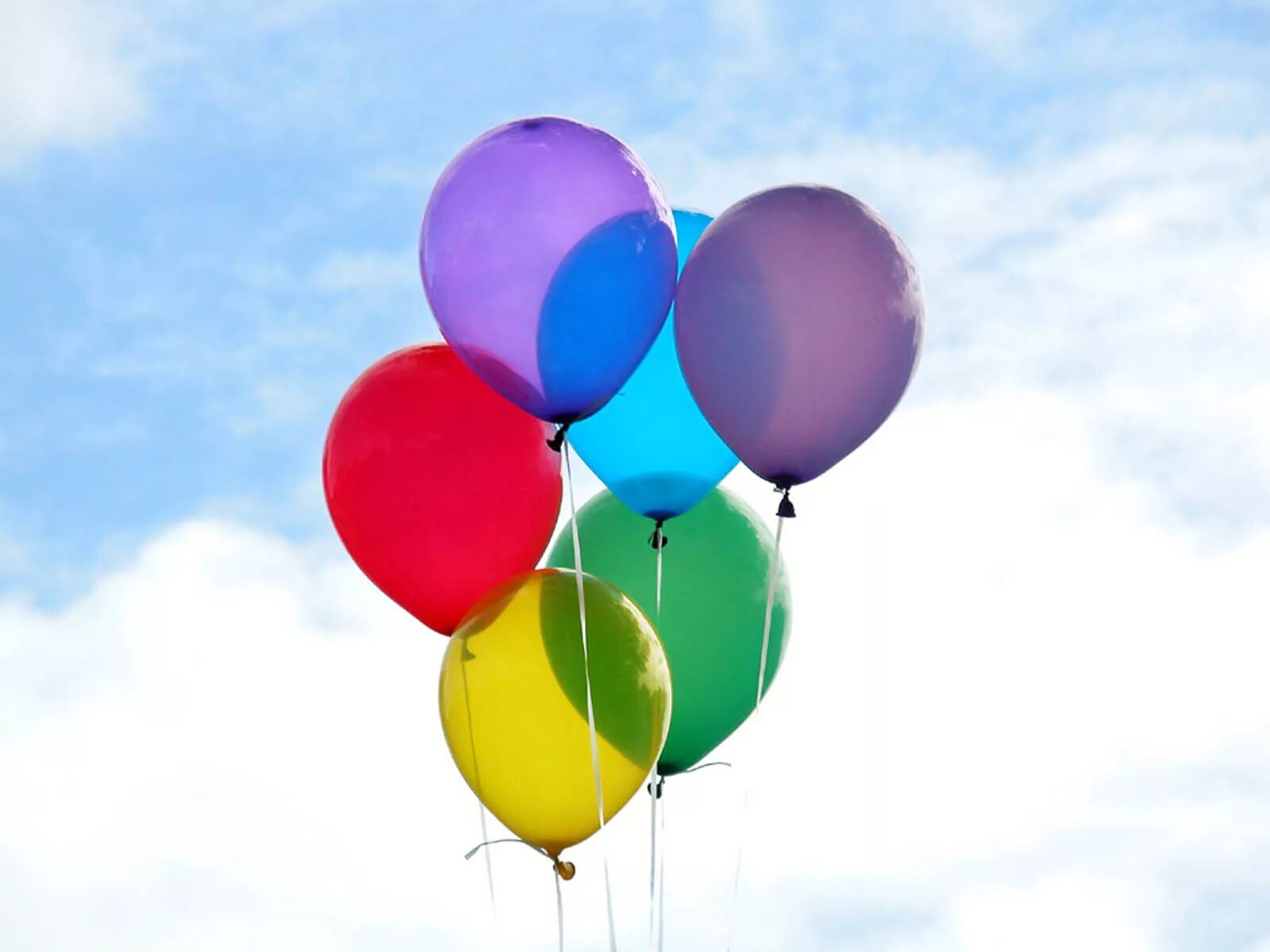 Воздушные шары. Воздушный шарик. Разноцветные шары. Яркие воздушные шары.