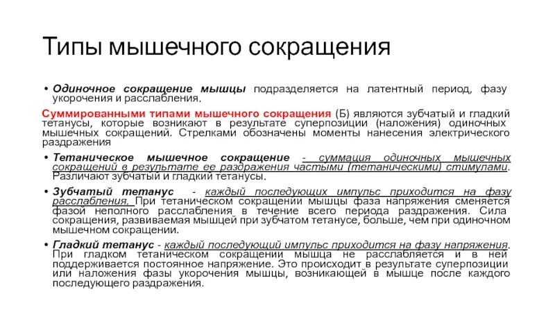 Одиночное мышечное сокращение его фазы физиология. Фазы одиночного сокращения мышцы. Периоды сокращения мышц. Одиночное мышечное сокращение.