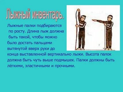 Лыжные палки должны быть