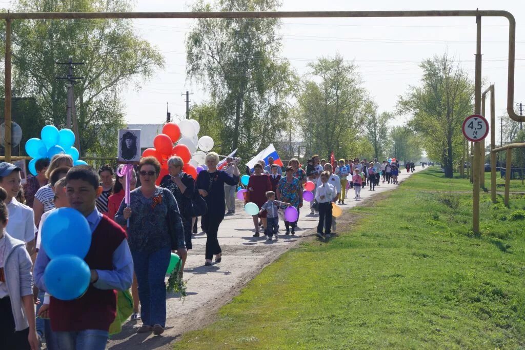 Погода в большой глушице на неделю. Село малая Глушица Самарской области. Сельское поселения малая Глушица. Сельское поселение большая Глушица. Большеглушицкий район Самарской области.