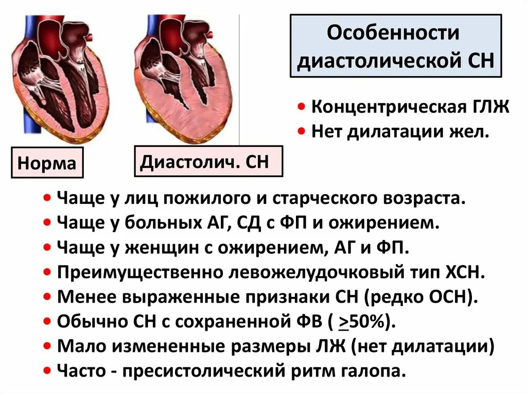 Гипертрофия миокарда лж что это. Гипертрофия миокарда левого желудочка сердца что это такое. Концентрическая гипертрофия левого желудочка. Гипертрофия левого желудочка причины. Гипертрофия миокарда лж.