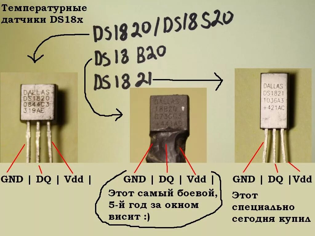 Ds1821 датчик температуры. Температурный датчик Dallas ds18b20. Датчик температурный DS 1821. Dallas ds1821 датчик температуры.