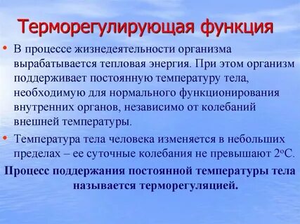 Терморегулирующую функцию кожа выполняет благодаря
