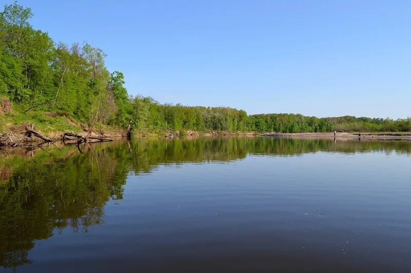 Вода в черемшане