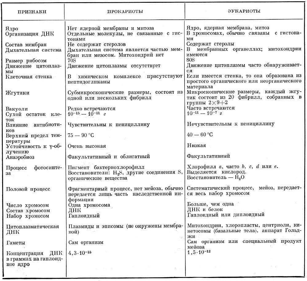 Размеры прокариот