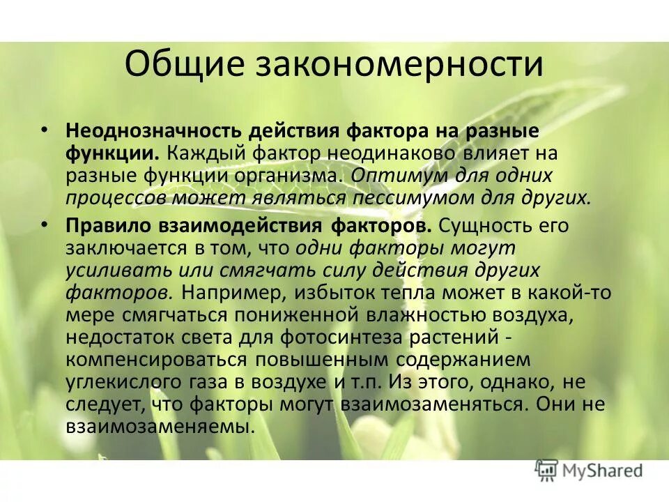 Неоднозначность определение
