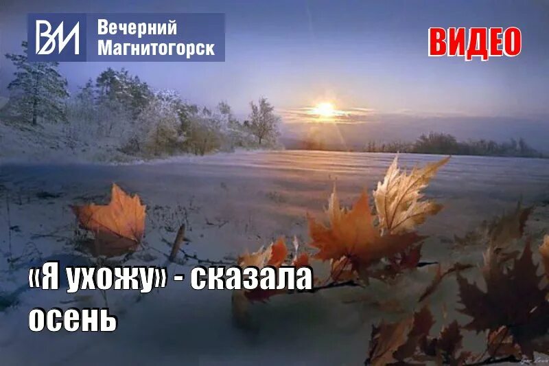 осень одиночество. уходящей осени. одинокий лес. уходящей осени. осенний дождливый парк.