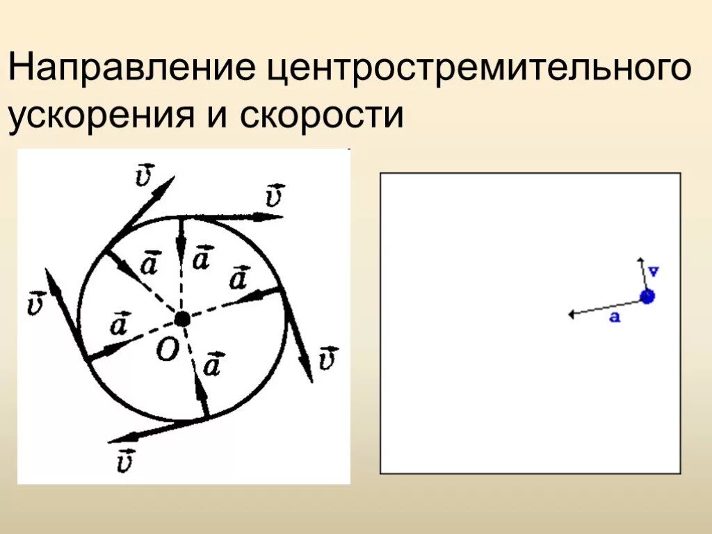 Как изменится центростремительное. Движение по окружности центростремительное ускорение. Направление центростремительного ускорения. Криволинейное движение по окружности рисунок. Направление скорости.