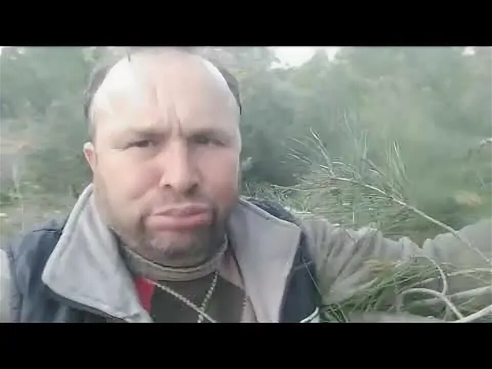 Bu org. Bu org