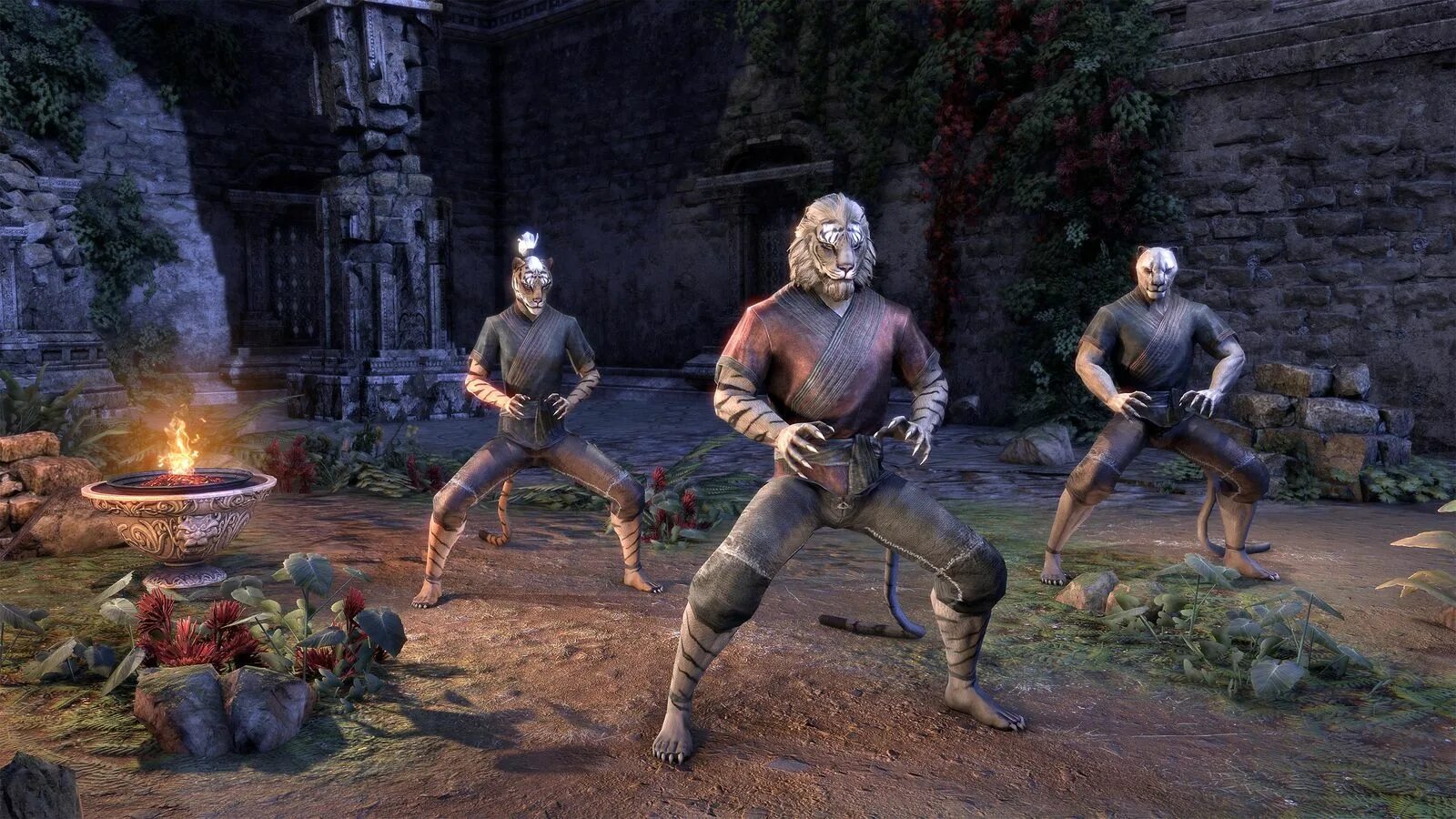 Дата выхода тес 6. The elder scrolls vi. игра the elder scrolls 6. тес 6 аргония. the elder scrolls 6 дата выхода.