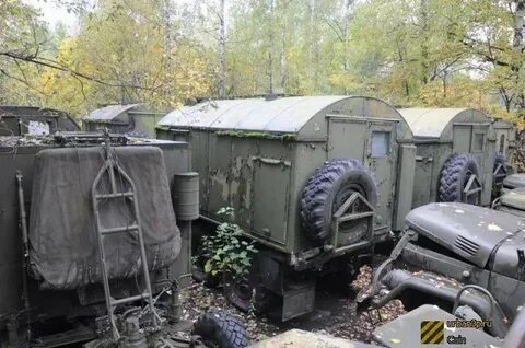 Грау мо