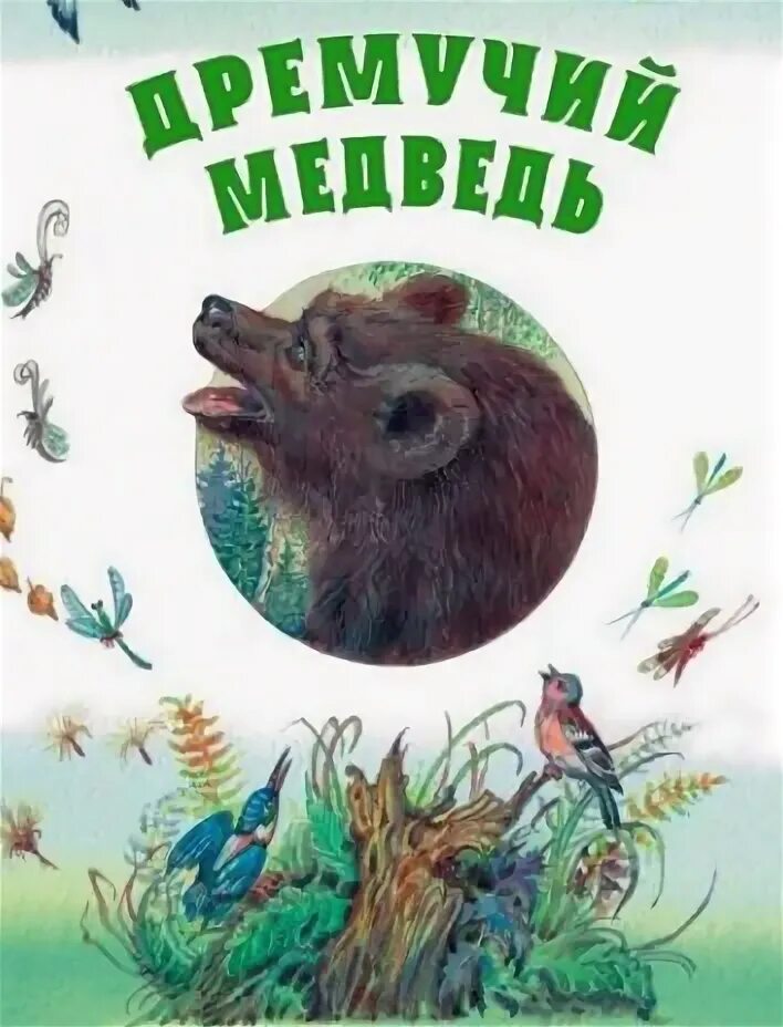 Читать дремучий медведь. Паустовский дремучий медведь книга. к г паустовский дремучий медведь.
