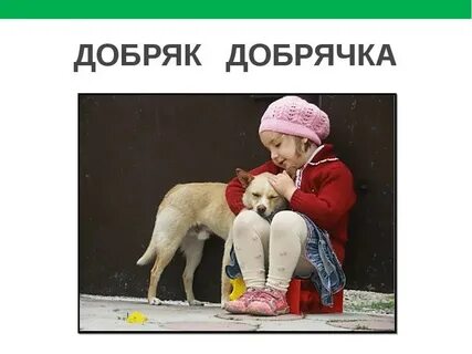 Добрячок