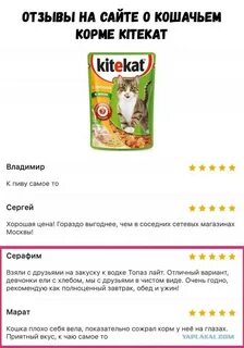 Сайт корма для кошек