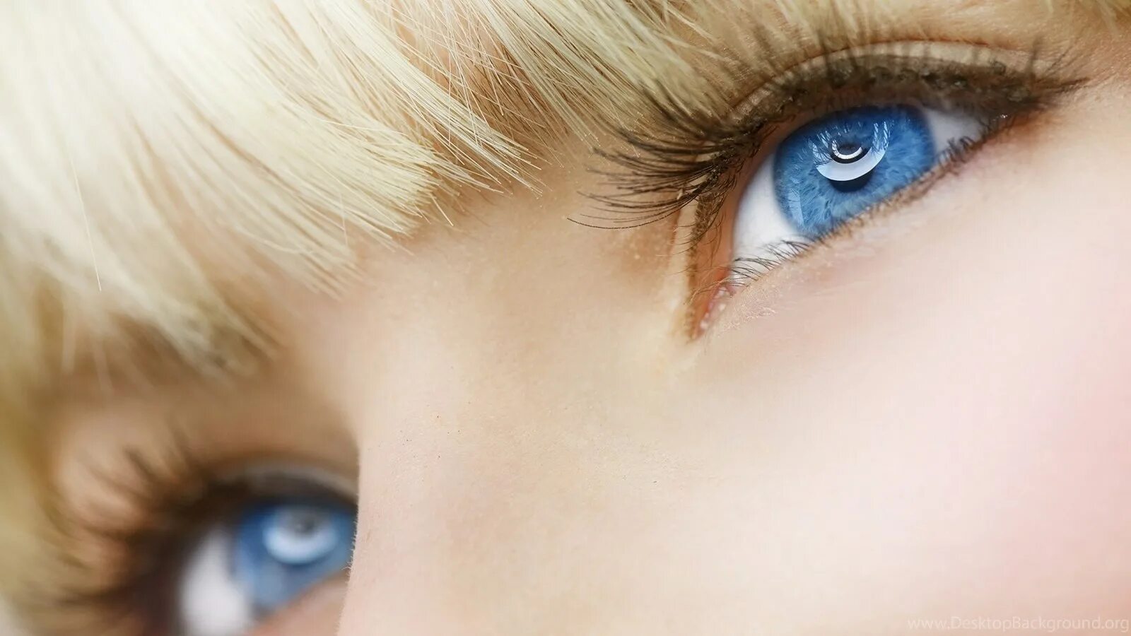 You have beautiful eyes. Голубые глаза. Красивые глаза. Красивые голубые глаза. Красивые глаза девушки картинки.