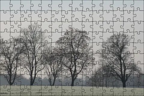 Bare trees