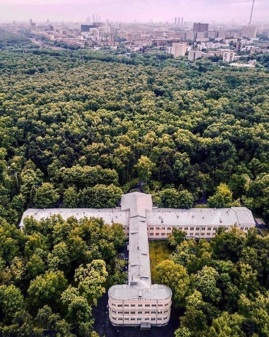 Институт туберкулеза москва. ЦНИИ туберкулеза Лосиный остров. Дом самолет ЦНИИТ Лосиный остров. Центральный НИИ туберкулеза. Дом самолет в Лосином острове.