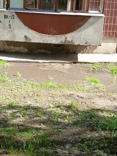 Чп старый оскол телеграмм